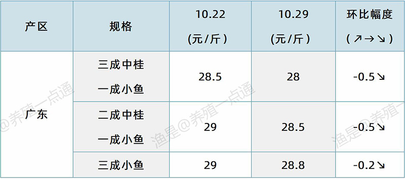 2024.10.29，鳜鱼塘头价格