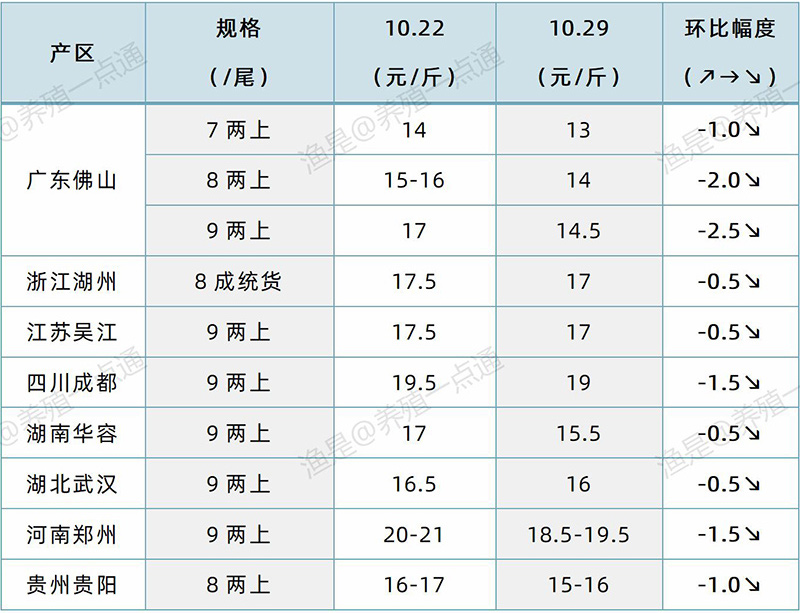 2024.10.29，加州鲈塘头价格
