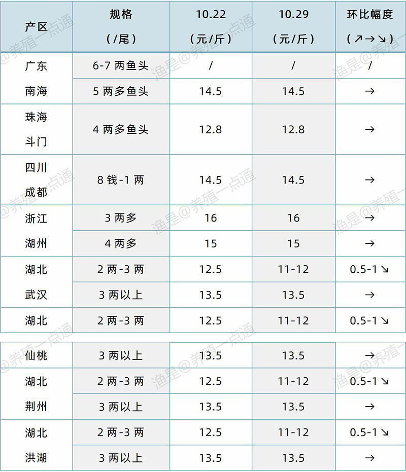 2024.10.29，黄颡鱼塘头价格