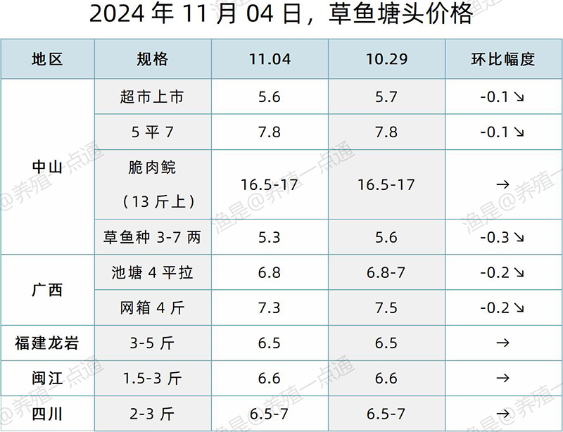 【渔是特约】2024.11.04，草鱼、鳜鱼、黄颡鱼、斑点叉尾鮰、石斑鱼塘头价格