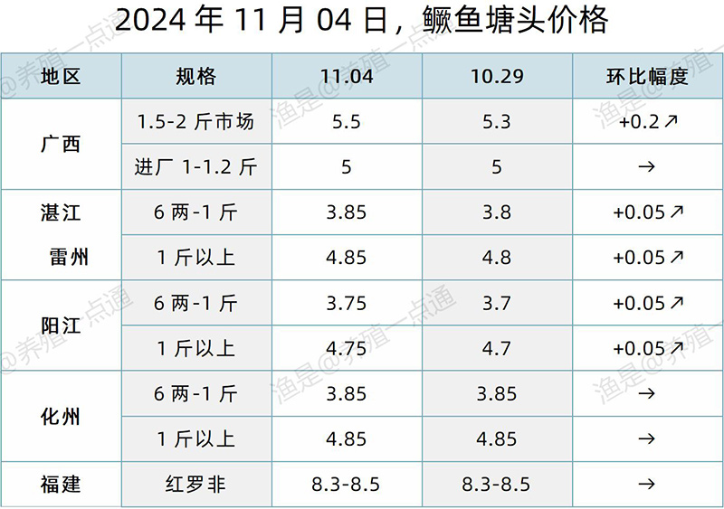 【渔是特约】2024.11.04，草鱼、鳜鱼、黄颡鱼、斑点叉尾鮰、石斑鱼塘头价格