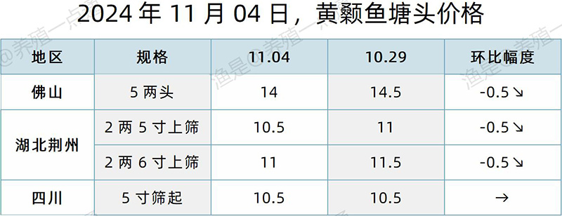 【渔是特约】2024.11.04，草鱼、鳜鱼、黄颡鱼、斑点叉尾鮰、石斑鱼塘头价格