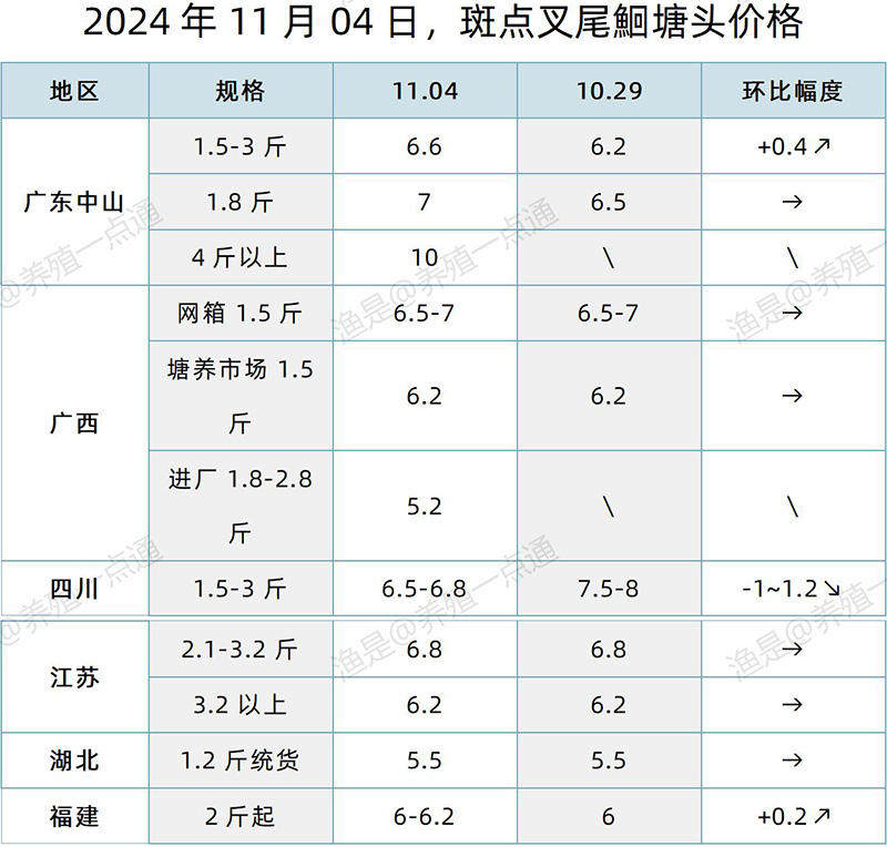 【渔是特约】2024.11.04，草鱼、鳜鱼、黄颡鱼、斑点叉尾鮰、石斑鱼塘头价格