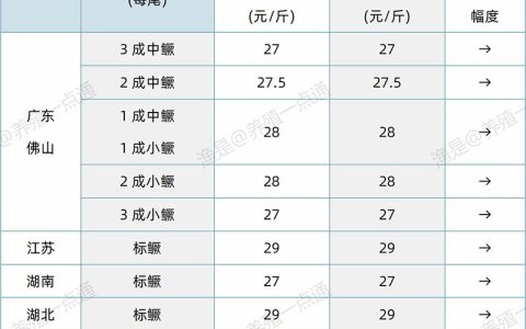 【渔是特约】2024.11.11，鳜鱼、加州鲈、牛蛙、泰蛙、黑斑蛙塘头价格