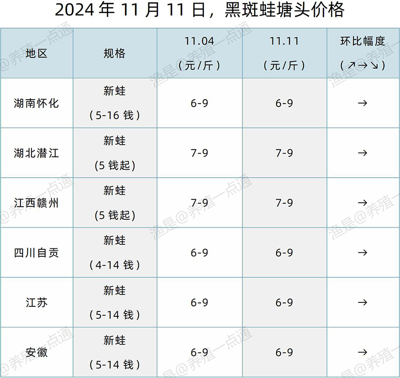 【渔是特约】2024.11.11，鳜鱼、加州鲈、牛蛙、泰蛙、黑斑蛙塘头价格