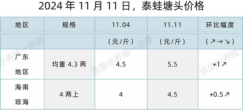 【渔是特约】2024.11.11，鳜鱼、加州鲈、牛蛙、泰蛙、黑斑蛙塘头价格