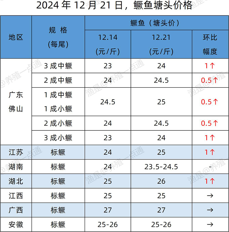 【渔是特约】2024.12.21，鳜鱼、加州鲈、黄颡鱼塘头价格