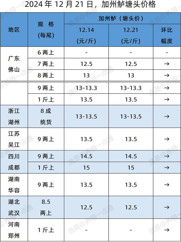 【渔是特约】2024.12.21，鳜鱼、加州鲈、黄颡鱼塘头价格