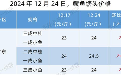 【渔是特约】2024.12.24，鳜鱼、加州鲈、黄颡鱼、江团塘头价格