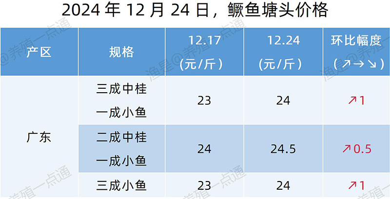 【渔是特约】2024.12.24，鳜鱼、加州鲈、黄颡鱼、江团塘头价格