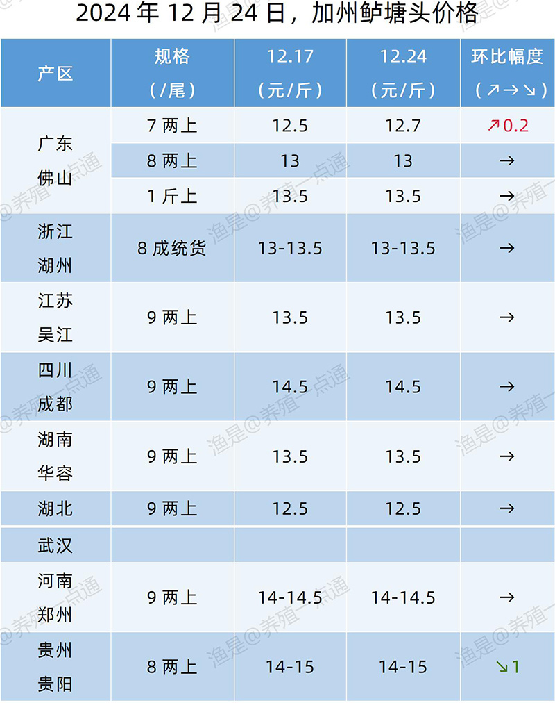 【渔是特约】2024.12.24，鳜鱼、加州鲈、黄颡鱼、江团塘头价格