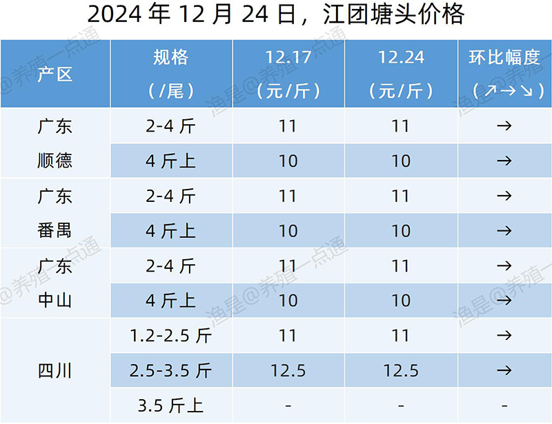 【渔是特约】2024.12.24，鳜鱼、加州鲈、黄颡鱼、江团塘头价格