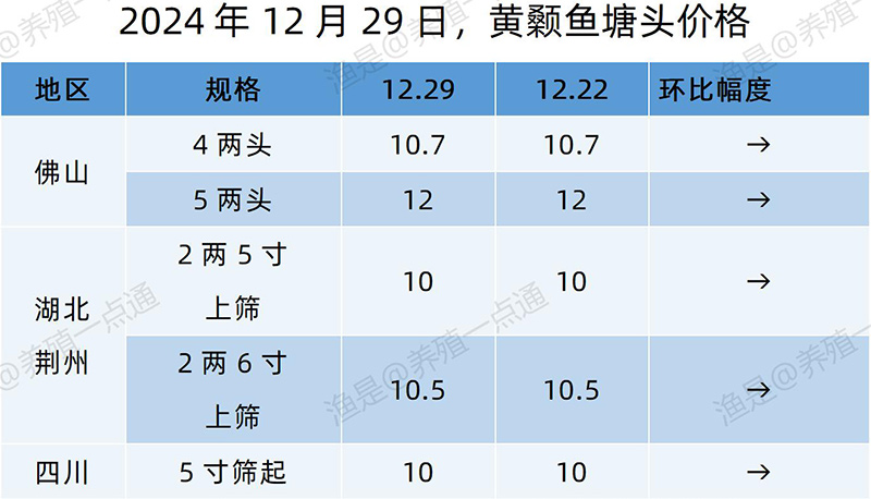 【渔是特约】2024.12.29，对虾、草鱼、加州鲈、黄颡鱼、罗非鱼、斑点叉尾鮰、石斑鱼塘头价格