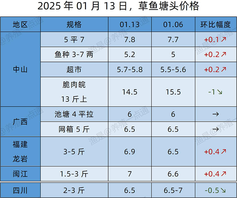 【渔是特约】2025.01.13，草鱼、黄颡鱼、罗非鱼、斑点叉尾鮰塘头价格