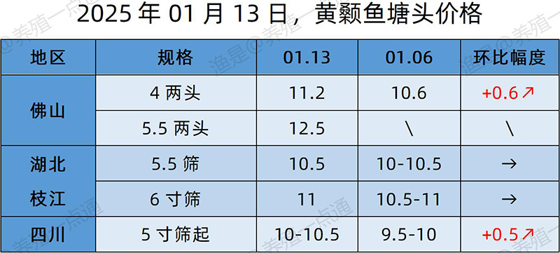 【渔是特约】2025.01.13，草鱼、黄颡鱼、罗非鱼、斑点叉尾鮰塘头价格