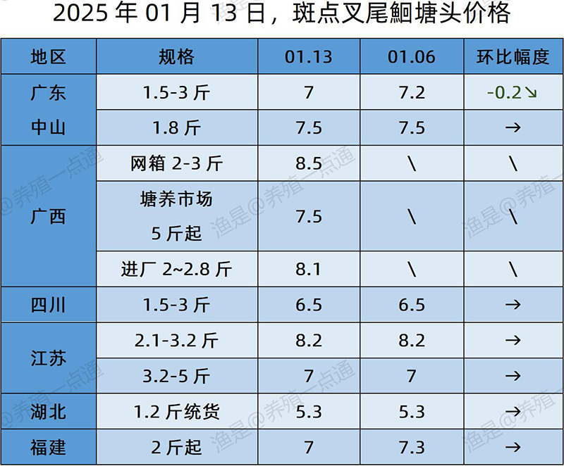 【渔是特约】2025.01.13，草鱼、黄颡鱼、罗非鱼、斑点叉尾鮰塘头价格