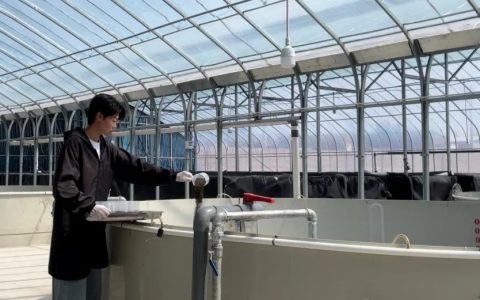 “门外汉”到“土专家”！女大学生运用“内陆循环水系统+菌藻平衡调控”养虾，亩产提高30%！