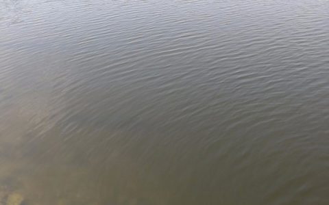 表面活性剂增加水体溶解氧